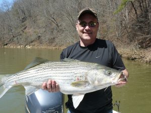 Bassin Tips  The Future of Bass Fishing